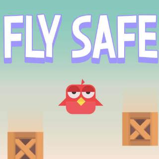 Fly Safe